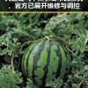 大连暖气不热引发市民担忧，官方已展开维修与调控
