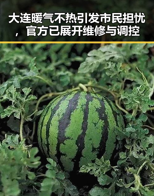 大连暖气不热引发市民担忧，官方已展开维修与调控